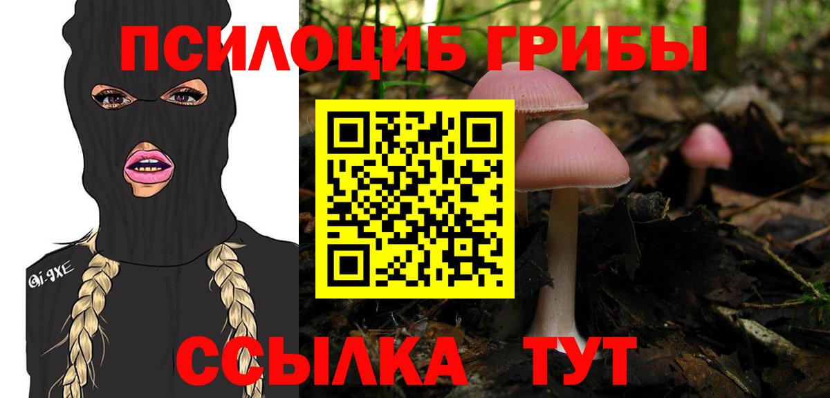 Галлюциногенные грибы Magic Shrooms  Вход с VPN  Псилоцибиновые грибы мицелий  Новомосковск 